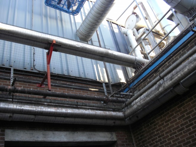pigeon netting