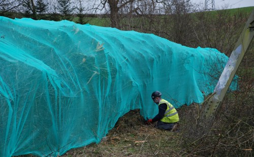Hedgerow Netting
