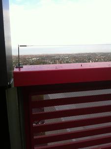Bird wire installation on a recently proofed university