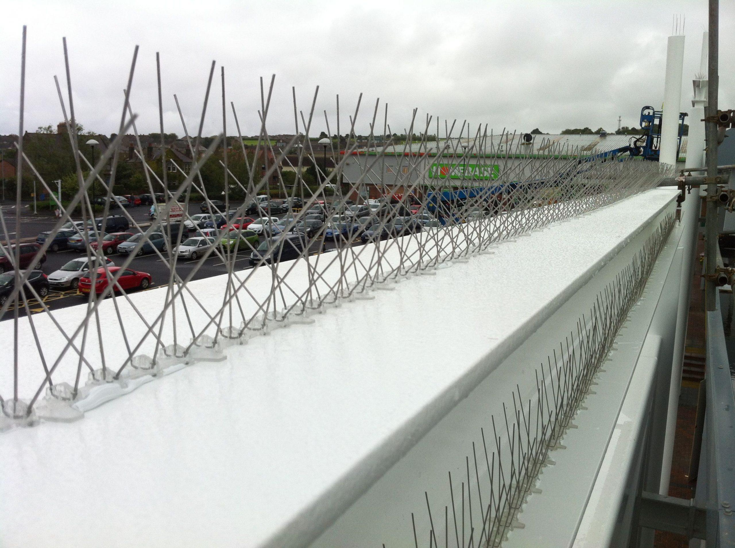 Bird Spikes EnviroGuard Bird Control