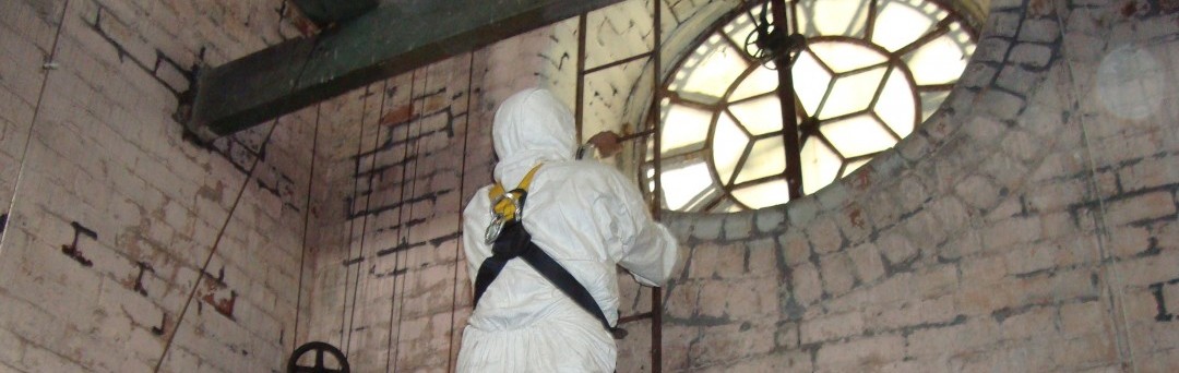 External Cleaning & Decontamination | EnviroGuard Pest Control